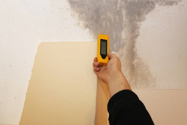 Best Biohazard Mold Removal  in Anoka, MN