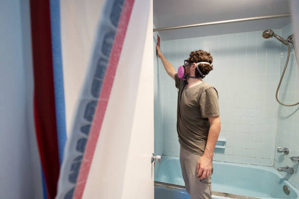 Best Dehumidification Services  in Anoka, MN