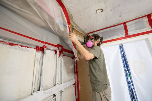 Best HVAC Mold Inspection and Cleaning  in Anoka, MN