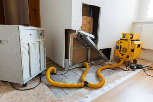 Best Environmental Consulting for Mold Prevention  in Anoka, MN